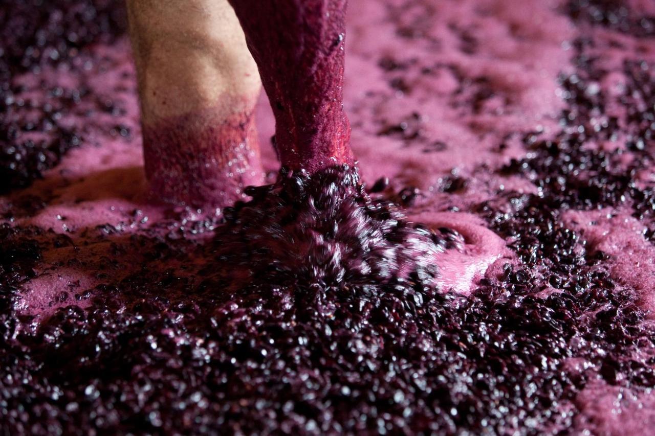 Вілла Quinta Da Faisca - Agro Turismo Favaios Екстер'єр фото