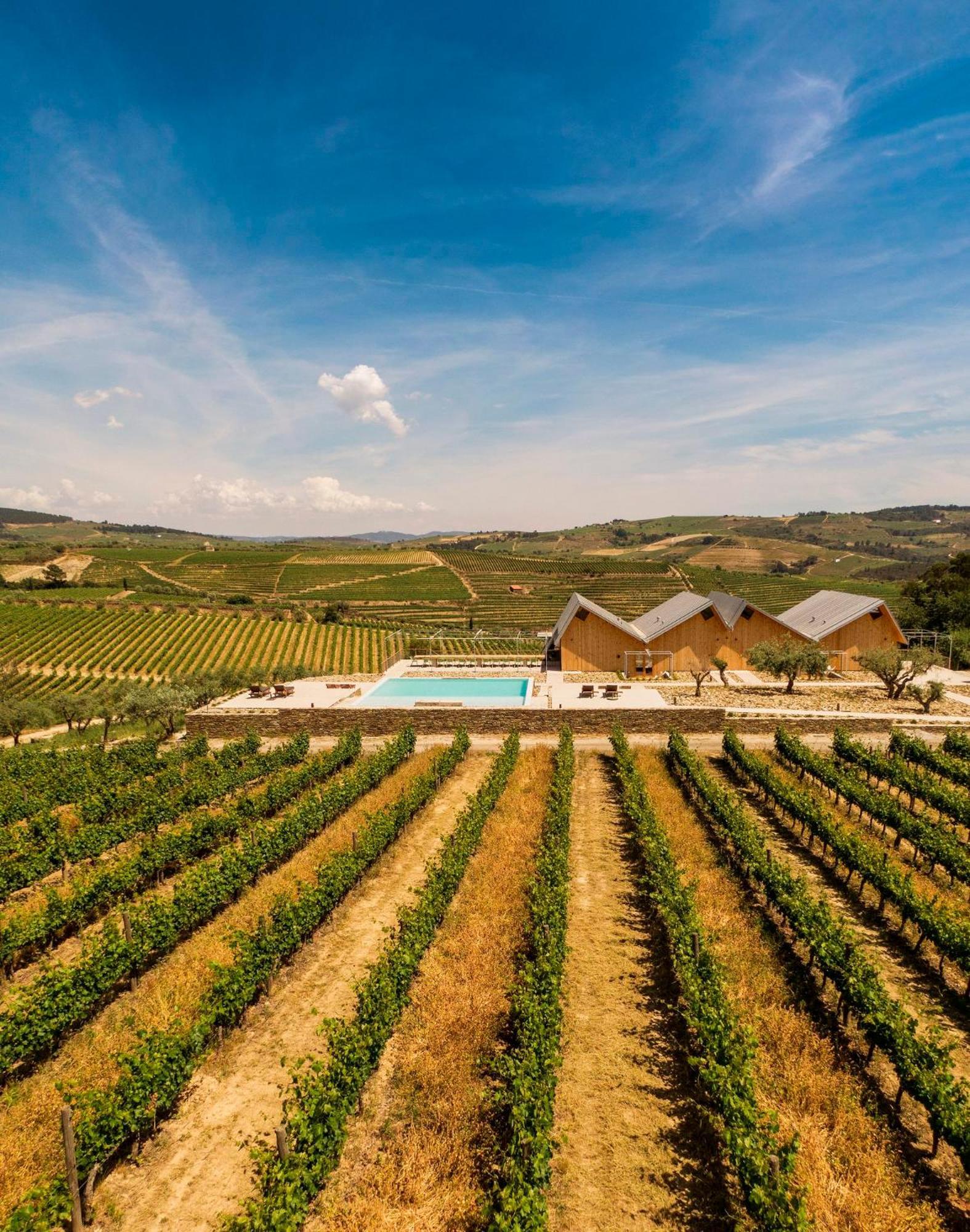 Вілла Quinta Da Faisca - Agro Turismo Favaios Екстер'єр фото