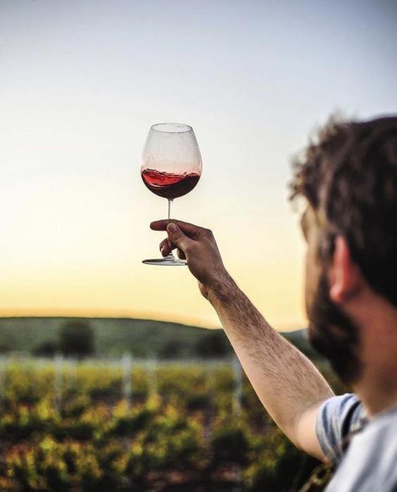 Вілла Quinta Da Faisca - Agro Turismo Favaios Екстер'єр фото